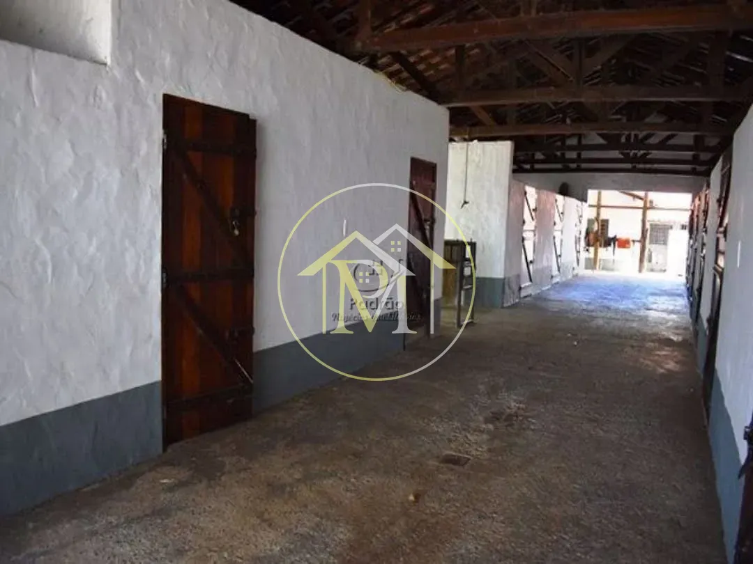 Fazenda, 39 hectares - Foto 10