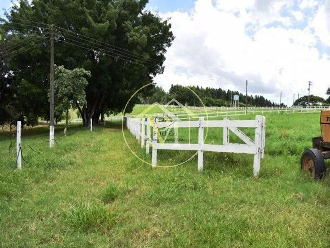 Fazenda, 39 hectares - Foto 15