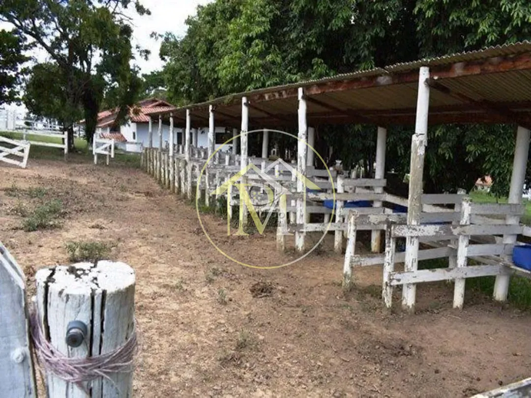 Fazenda, 39 hectares - Foto 19