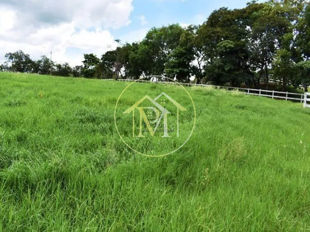 Fazenda, 39 hectares - Foto 13