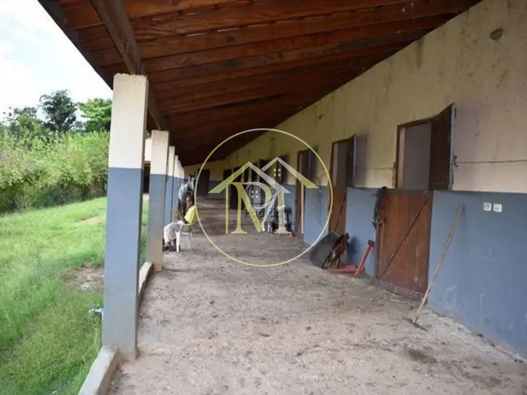 Fazenda, 39 hectares - Foto 7