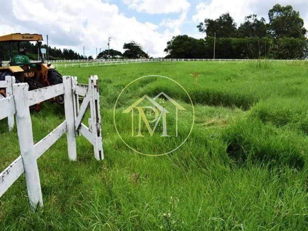 Fazenda, 39 hectares - Foto 14