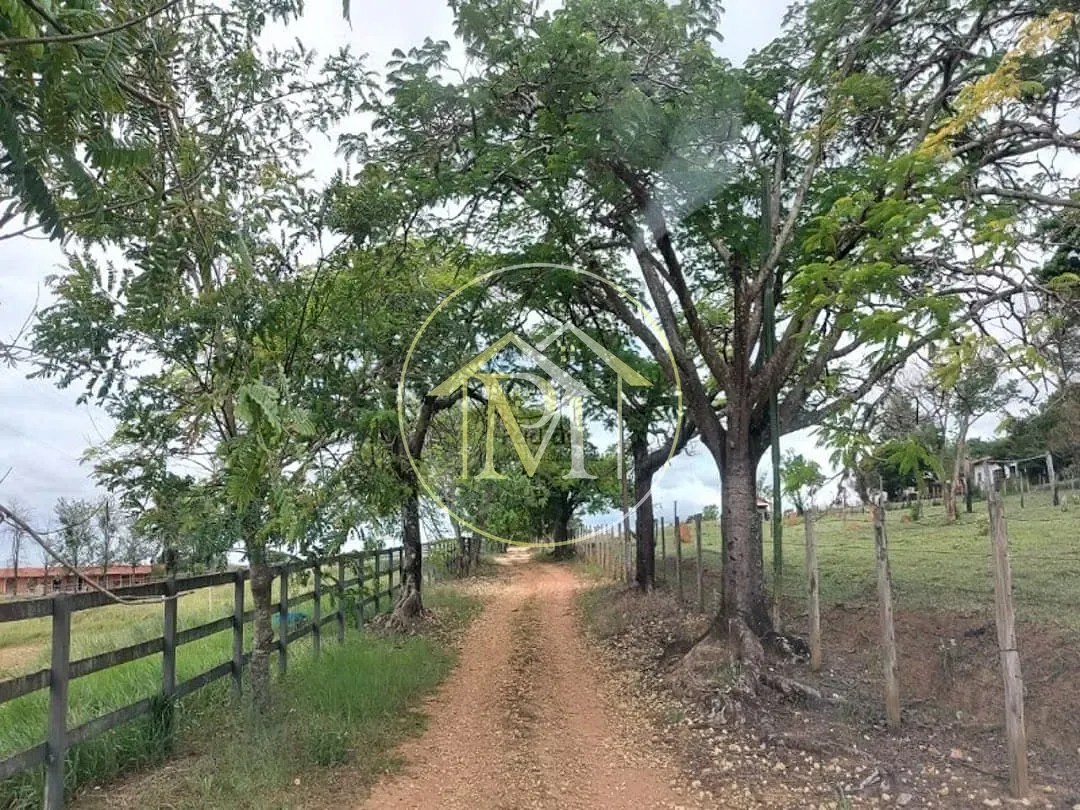 Fazenda, 13 hectares - Foto 14