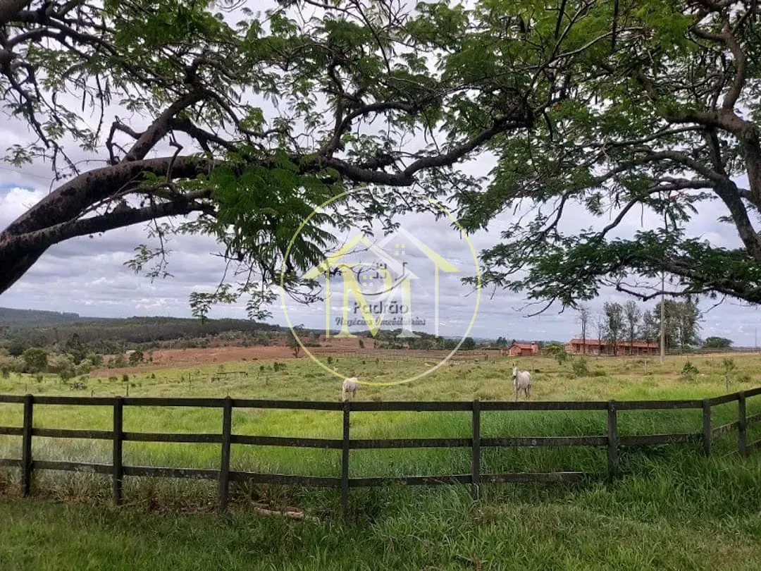 Fazenda, 13 hectares - Foto 16