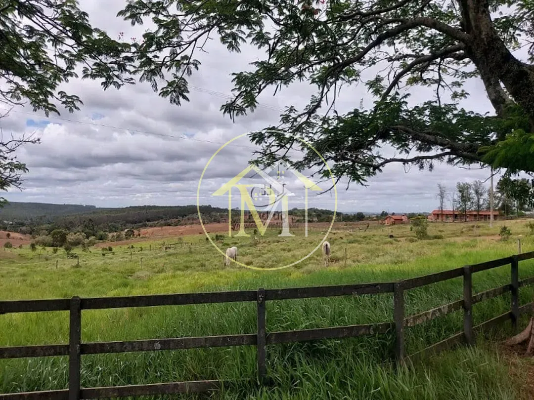 Fazenda, 13 hectares - Foto 15