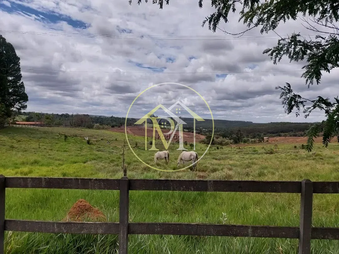 Fazenda, 13 hectares - Foto 20