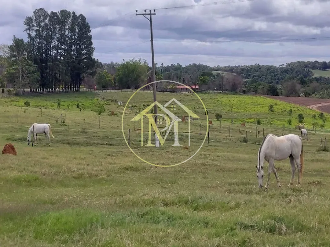 Fazenda, 13 hectares - Foto 17