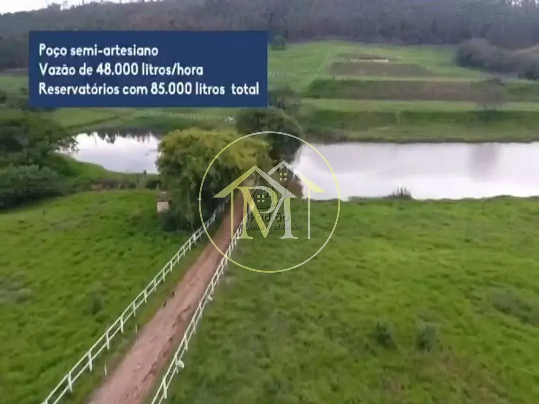 Fazenda, 51 hectares - Foto 6
