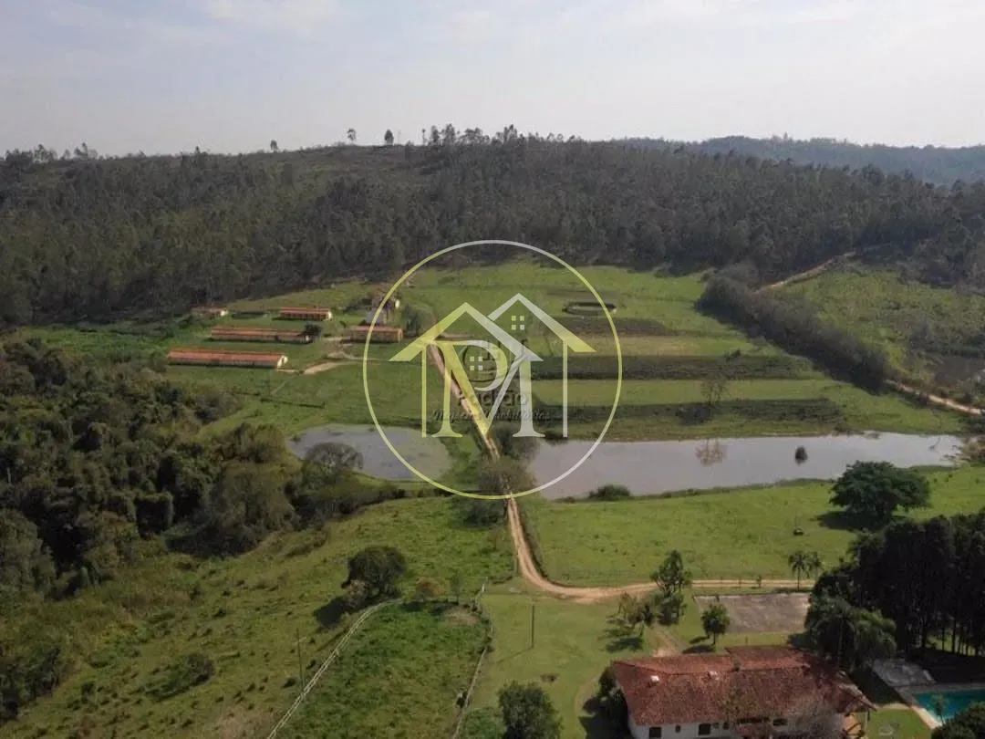 Fazenda, 51 hectares - Foto 2