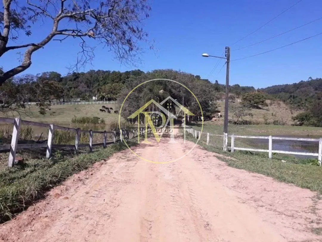 Fazenda, 51 hectares - Foto 7