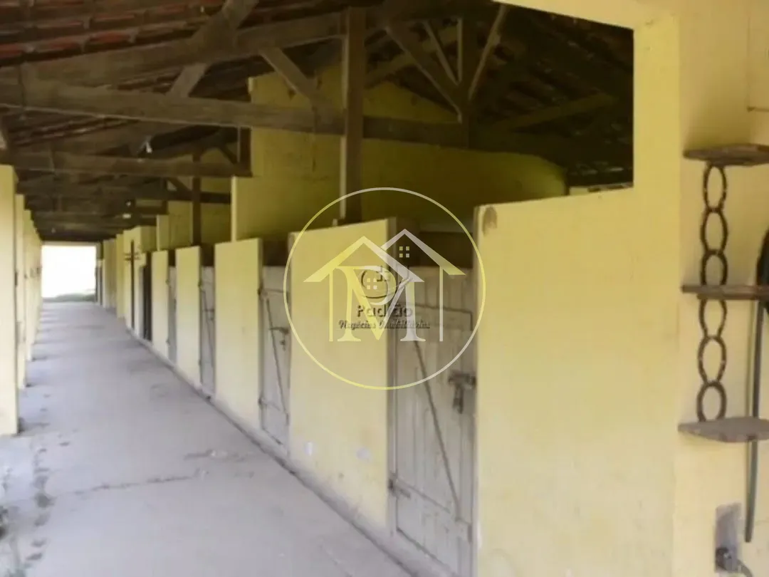 Fazenda, 51 hectares - Foto 11