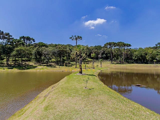 Foto do Haras - São José dos Pinhais, Haras cinematográfica, 90.000m², 5 suítes, lago, tanque de peixes, poço artesiano, Área Rural à venda , PR | Imobiliária GreenVille