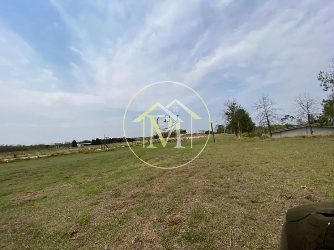 Fazenda, 52 hectares - Foto 19