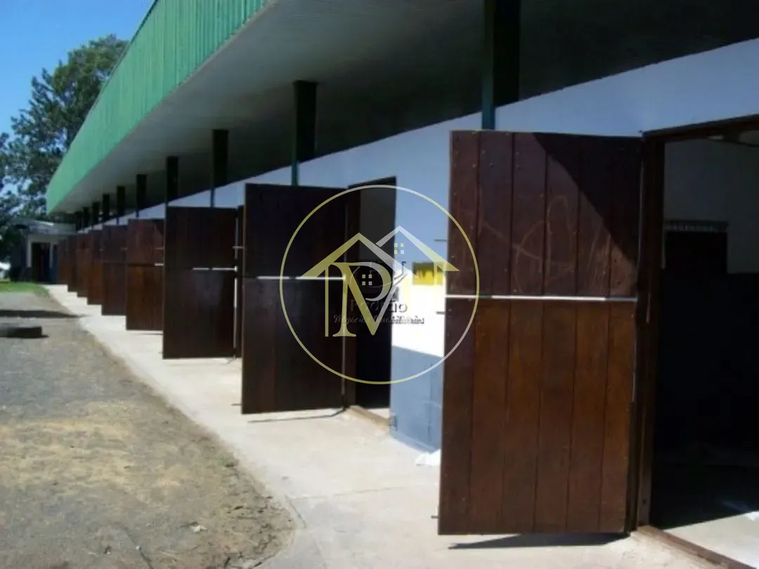 Fazenda, 52 hectares - Foto 11