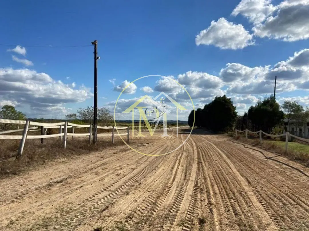 Fazenda, 52 hectares - Foto 15