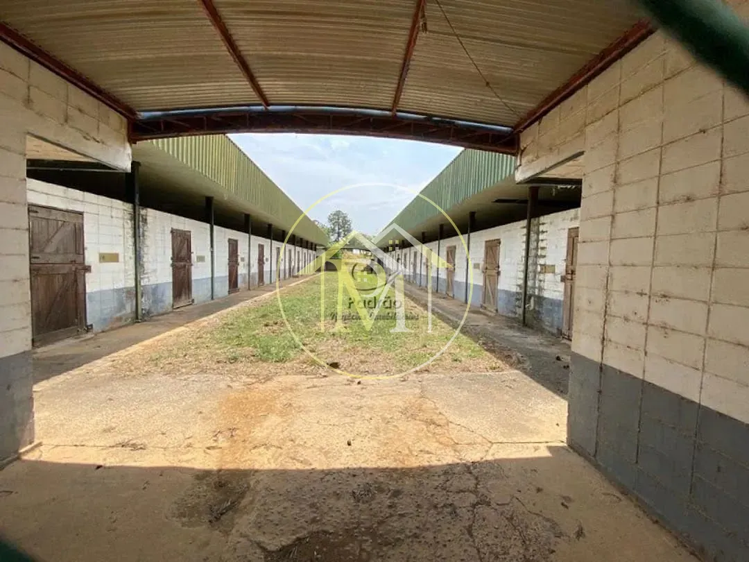 Fazenda, 52 hectares - Foto 10