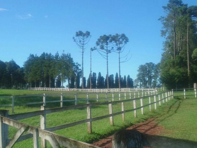 Foto do Haras - São José dos Pinhais, Haras cinematográfico,171.520m² , 17 Há, 11 piquetes, 20 baias e 20 cocheiras, piscina, lagos, à venda, PR | Imobiliária GreenVille