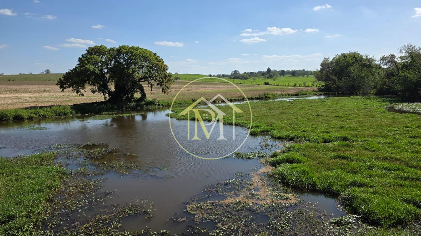 Fazenda, 17 hectares - Foto 32