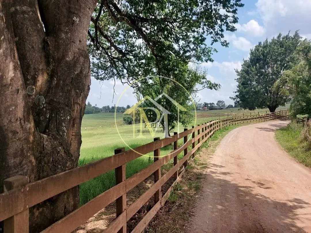 Fazenda, 17 hectares - Foto 2