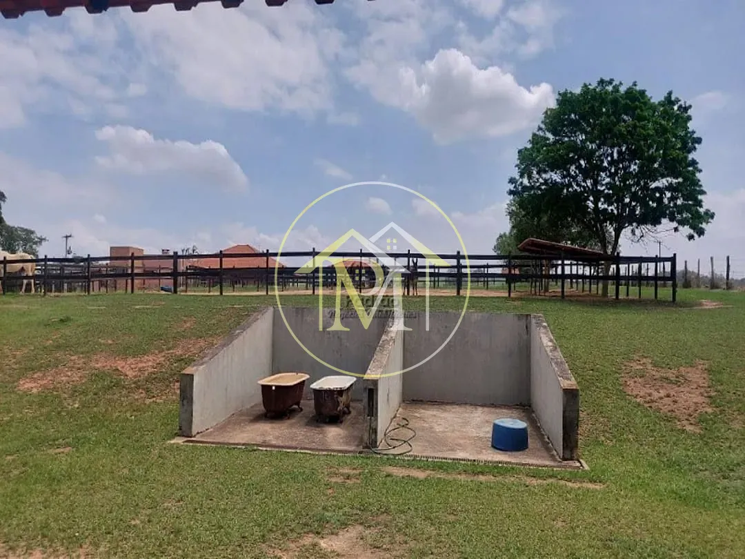 Fazenda, 17 hectares - Foto 15
