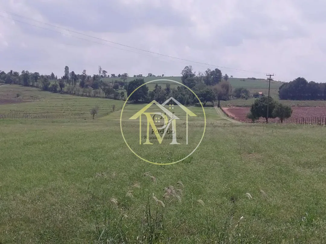 Fazenda, 17 hectares - Foto 22