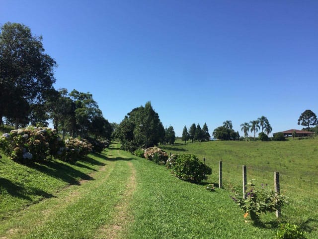 Haras com 179834m² 2 quartos e 4 banheiros, à venda, no bairro Planta Entremar em Piraquara