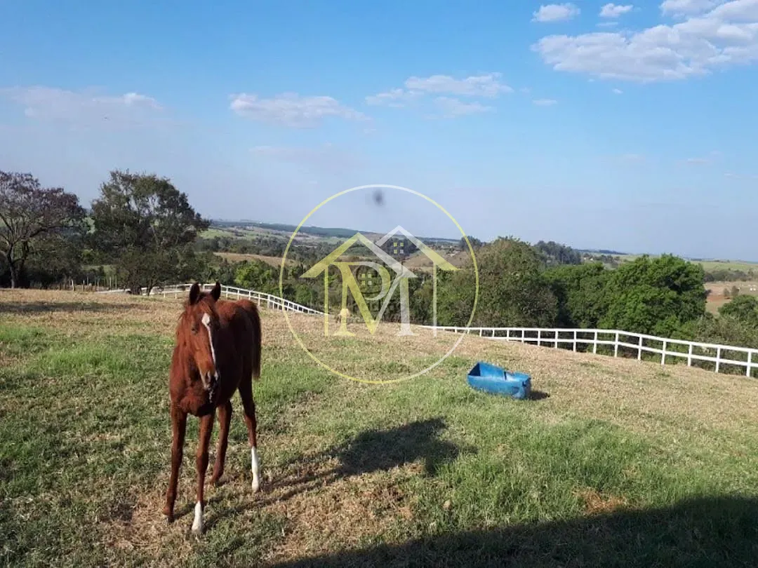 Fazenda, 18 hectares - Foto 11