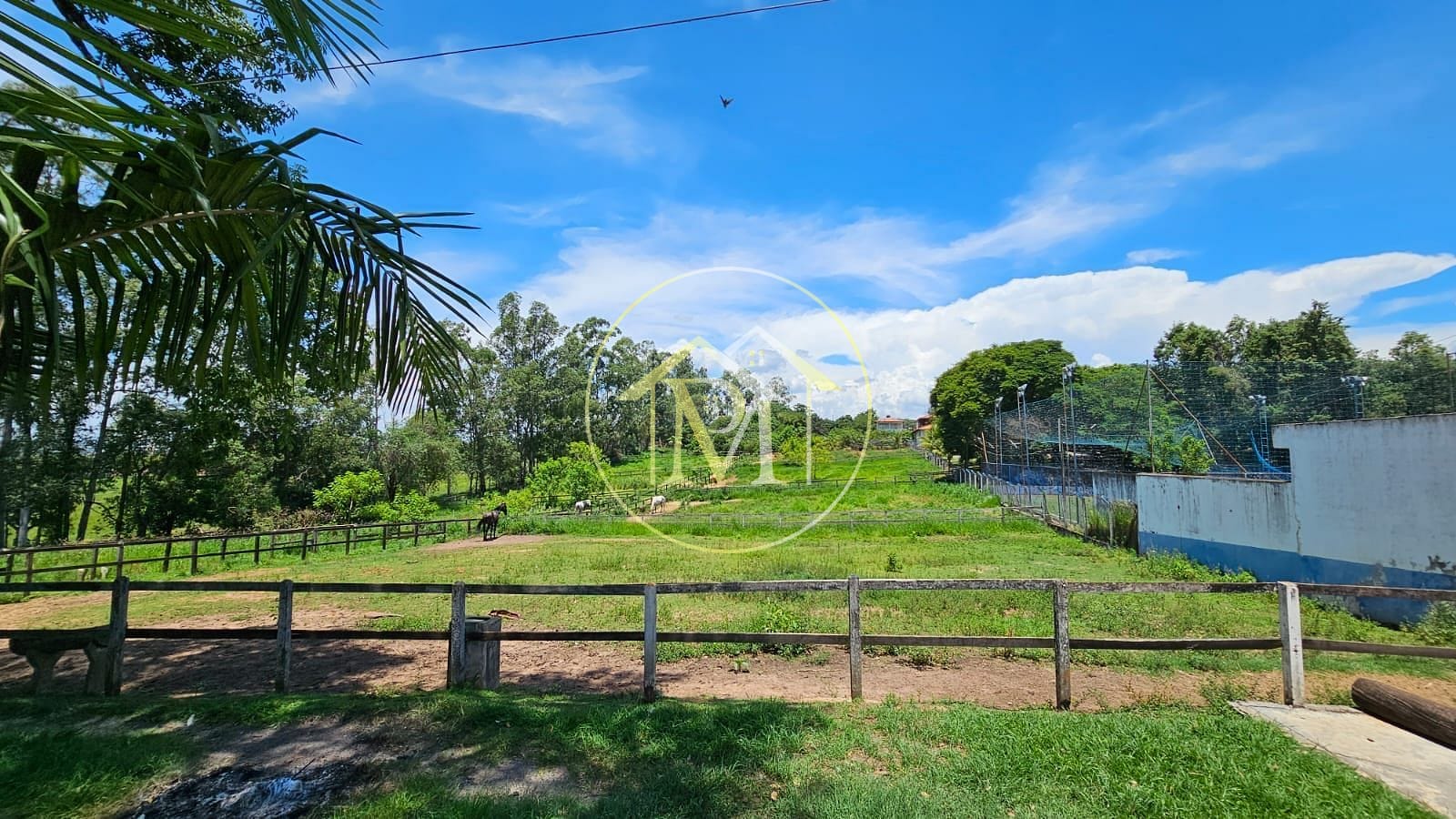 Fazenda à venda com 7 quartos, 242000m² - Foto 7