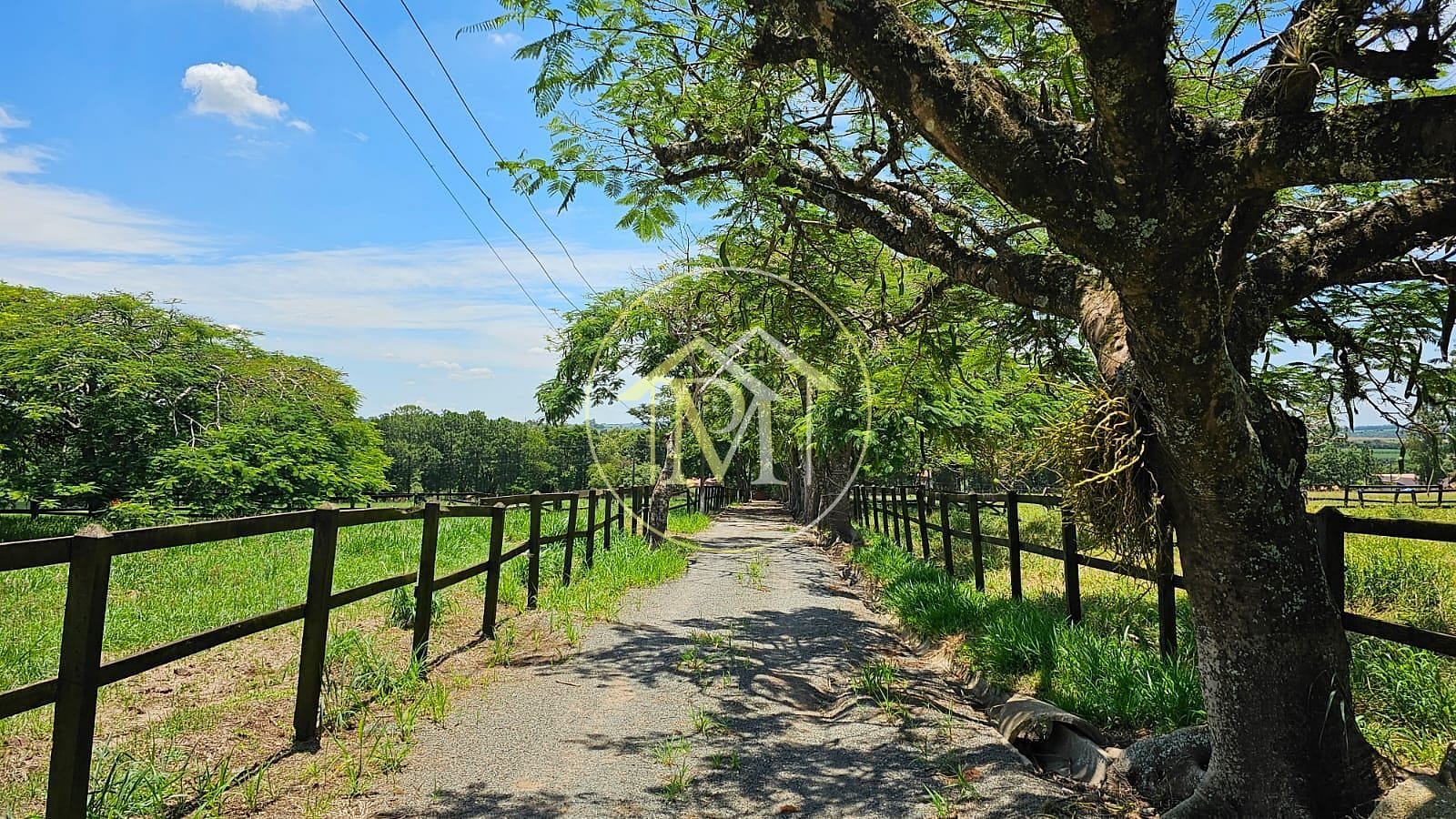 Fazenda à venda com 7 quartos, 242000m² - Foto 11