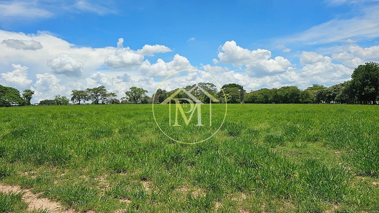 Fazenda à venda com 7 quartos, 242000m² - Foto 18