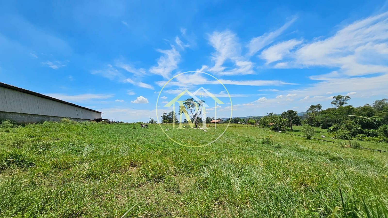 Fazenda à venda com 7 quartos, 242000m² - Foto 23