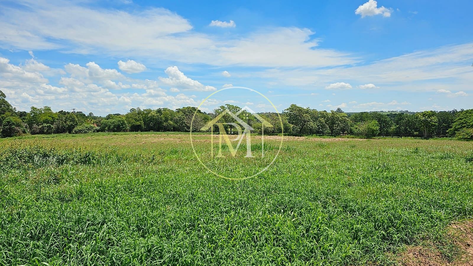 Fazenda à venda com 7 quartos, 242000m² - Foto 17