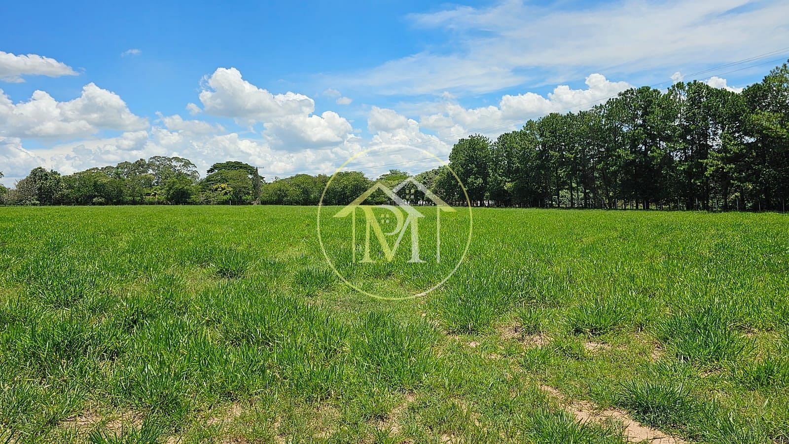 Fazenda à venda com 7 quartos, 242000m² - Foto 25