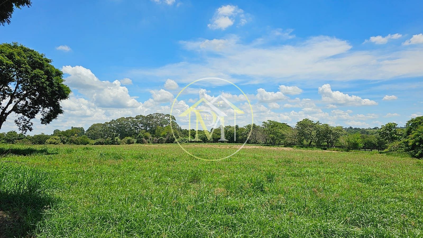 Fazenda à venda com 7 quartos, 242000m² - Foto 26