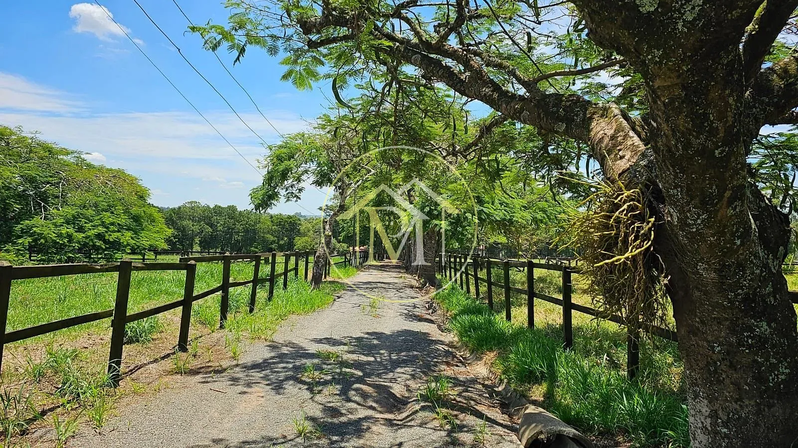 Fazenda, 24 hectares - Foto 9