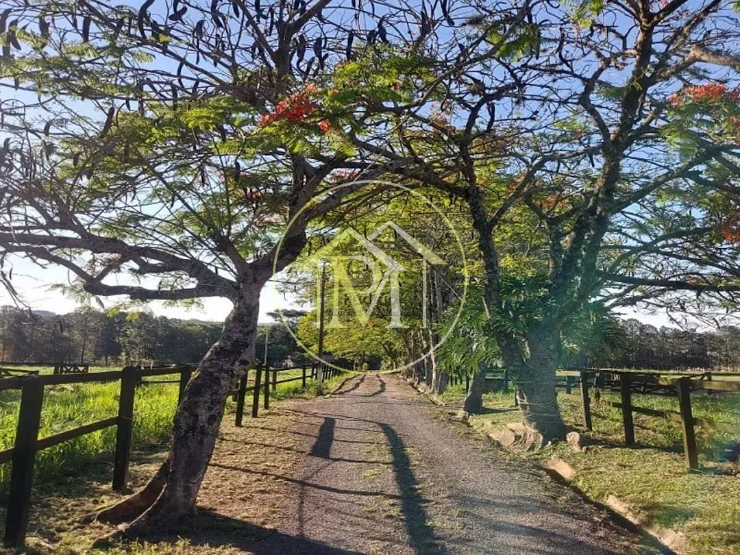 Fazenda, 24 hectares - Foto 8