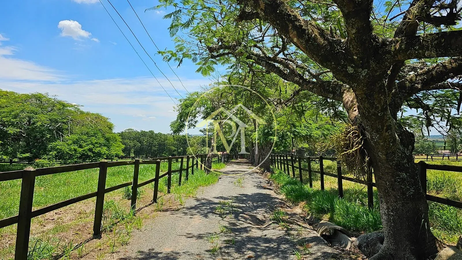 Fazenda, 24 hectares - Foto 11