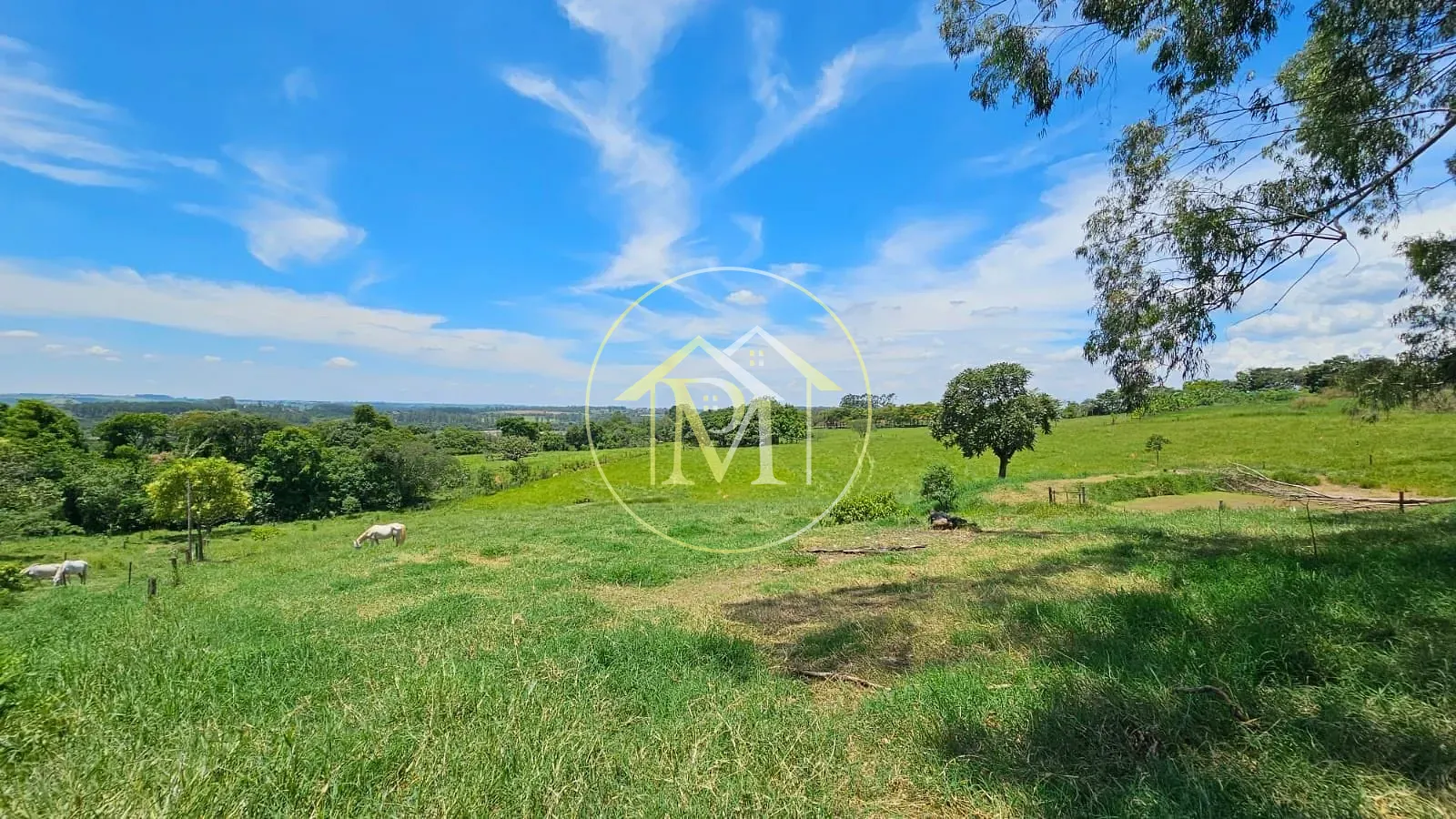 Fazenda, 24 hectares - Foto 16