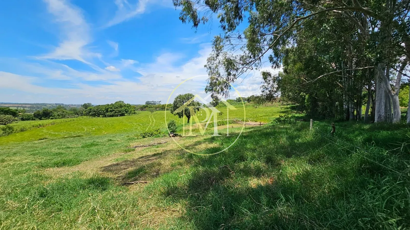Fazenda, 24 hectares - Foto 22