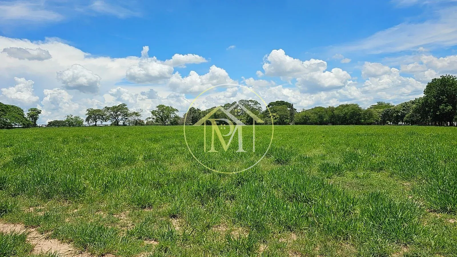 Fazenda, 24 hectares - Foto 18