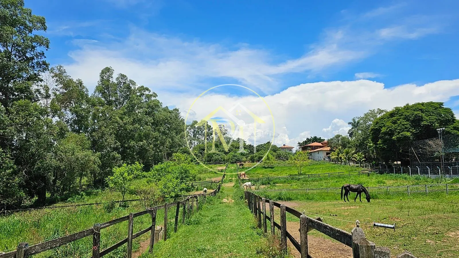 Fazenda, 24 hectares - Foto 12