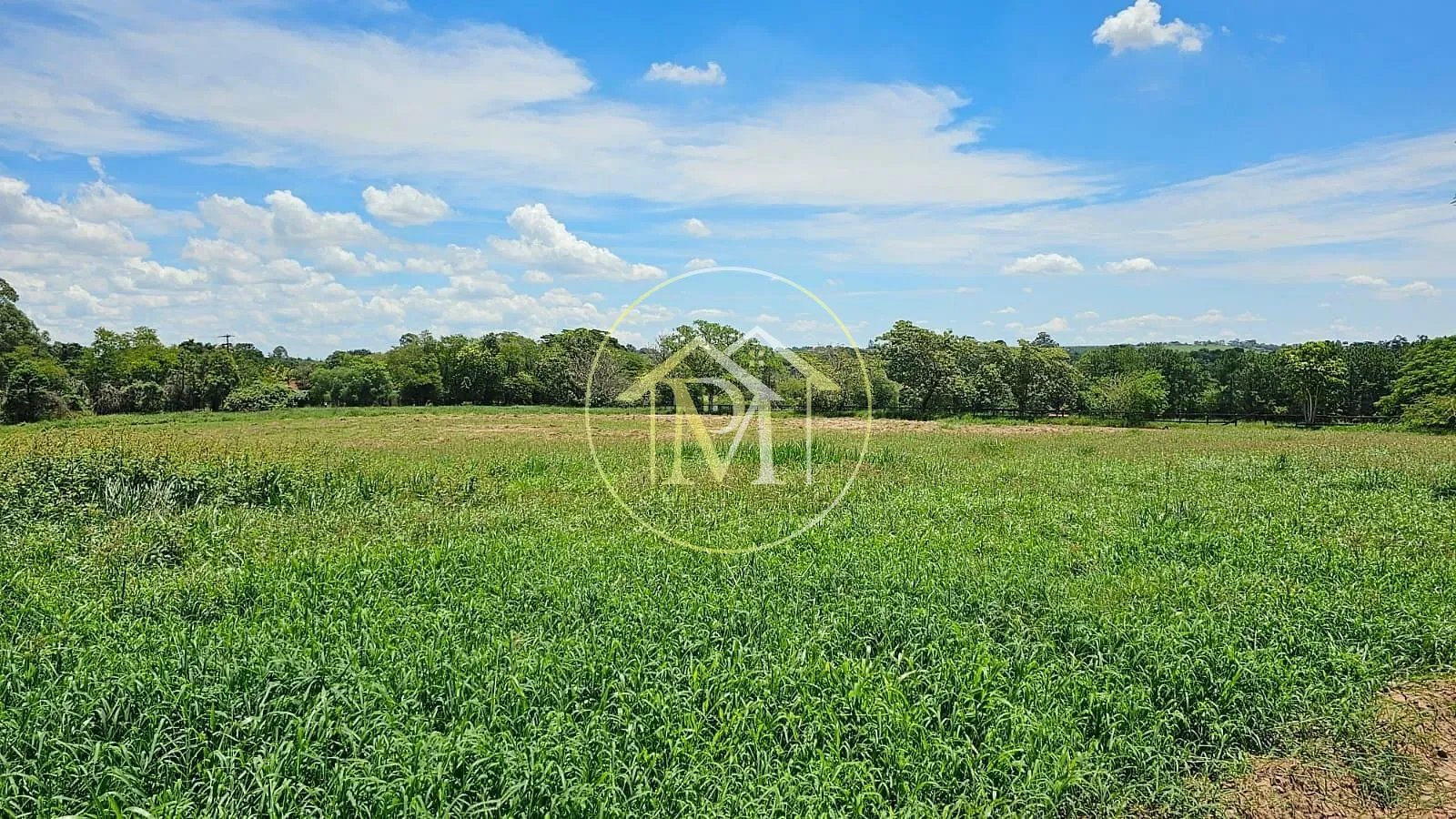 Fazenda, 24 hectares - Foto 17