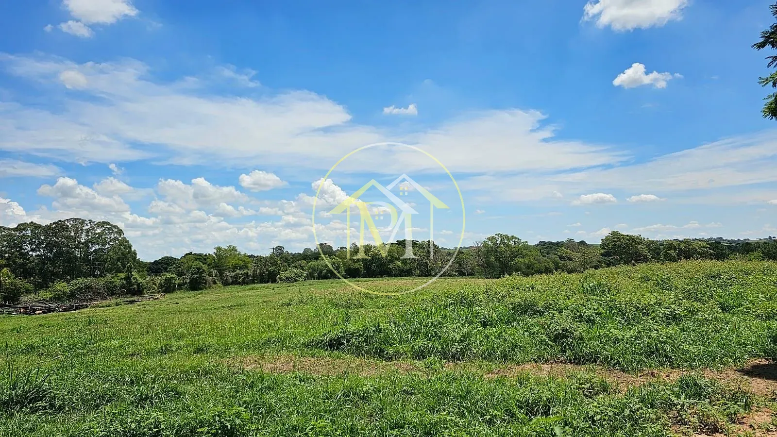 Fazenda, 24 hectares - Foto 24