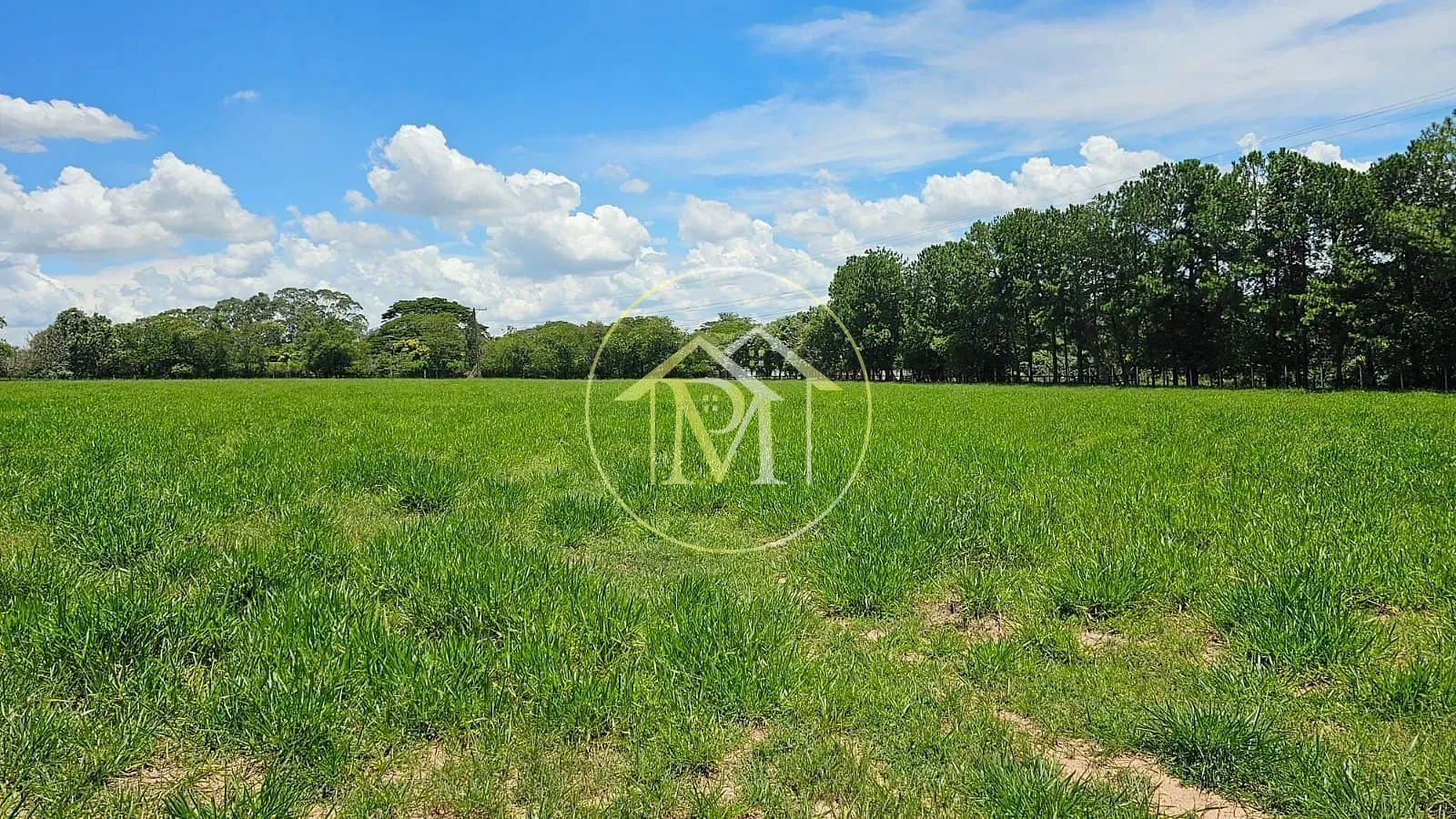 Fazenda, 24 hectares - Foto 25