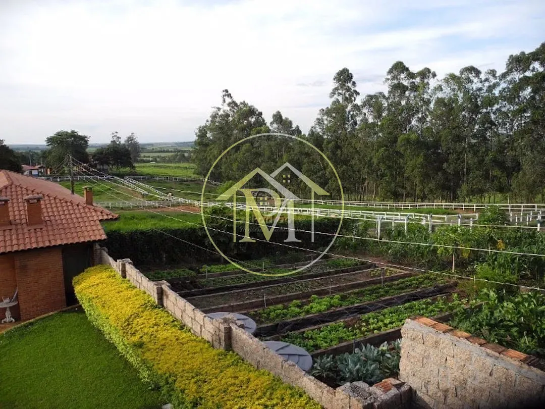 Fazenda, 24 hectares - Foto 14