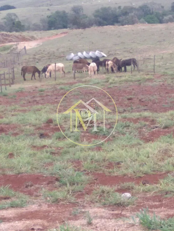 Fazenda, 10 hectares - Foto 7