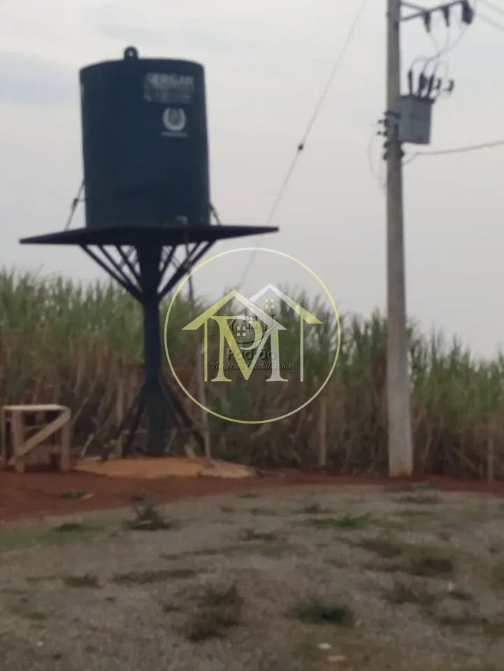 Fazenda, 10 hectares - Foto 6
