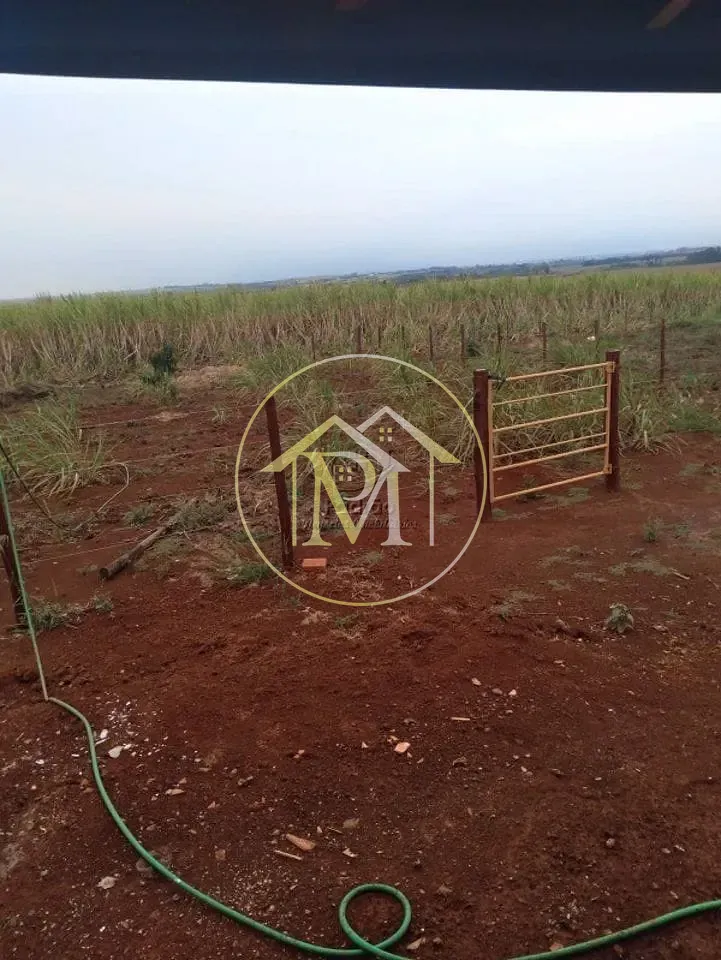Fazenda, 10 hectares - Foto 14