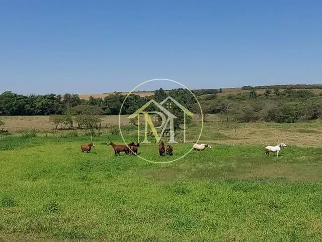 Haras com 484000m² 3 quartos e 4 banheiros, à venda, no bairro Centro em Sorocaba