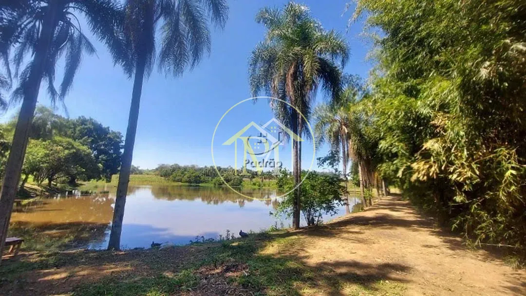 Fazenda, 48 hectares - Foto 42